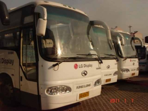 金龙大客车46座一批，非营运
