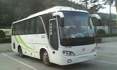 28座金龙