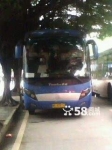 转让绿标欧3发动机 中通49座豪华客车 带旅游牌