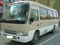 金龙客车4102增压仿考斯特