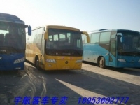 新66座福田校车，未挂牌，玉柴245发动机，带中门