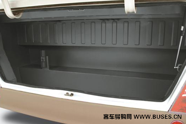 少林SLG6600T5F客车（天然气国五10-19座）