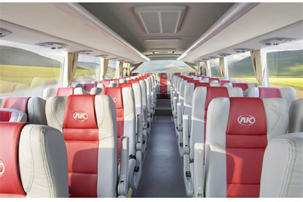 安凯HFF6100K58C2E5客车（天然气国五24-39座）