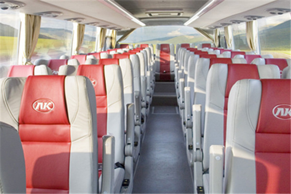 安凯HFF6123TK10D客车（柴油国四24-59座）