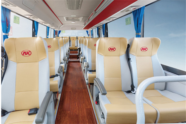 安凯HFF6781KDE5B客车（柴油国五24-32座）