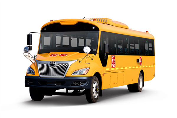宇通ZK6995DX51中小学生专用校车（柴油国五24-49座）