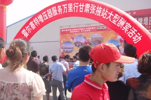 从张掖到武威 霍尔塞特“价值”连城