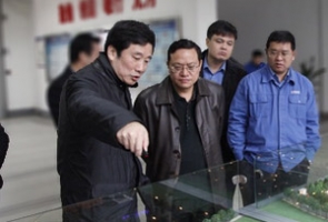 玉林市委副书记代市长苏海棠调研玉柴