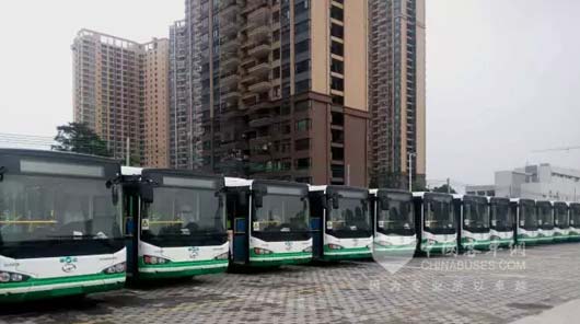 微宏快充“绿行”佛山绿岛湖风景区